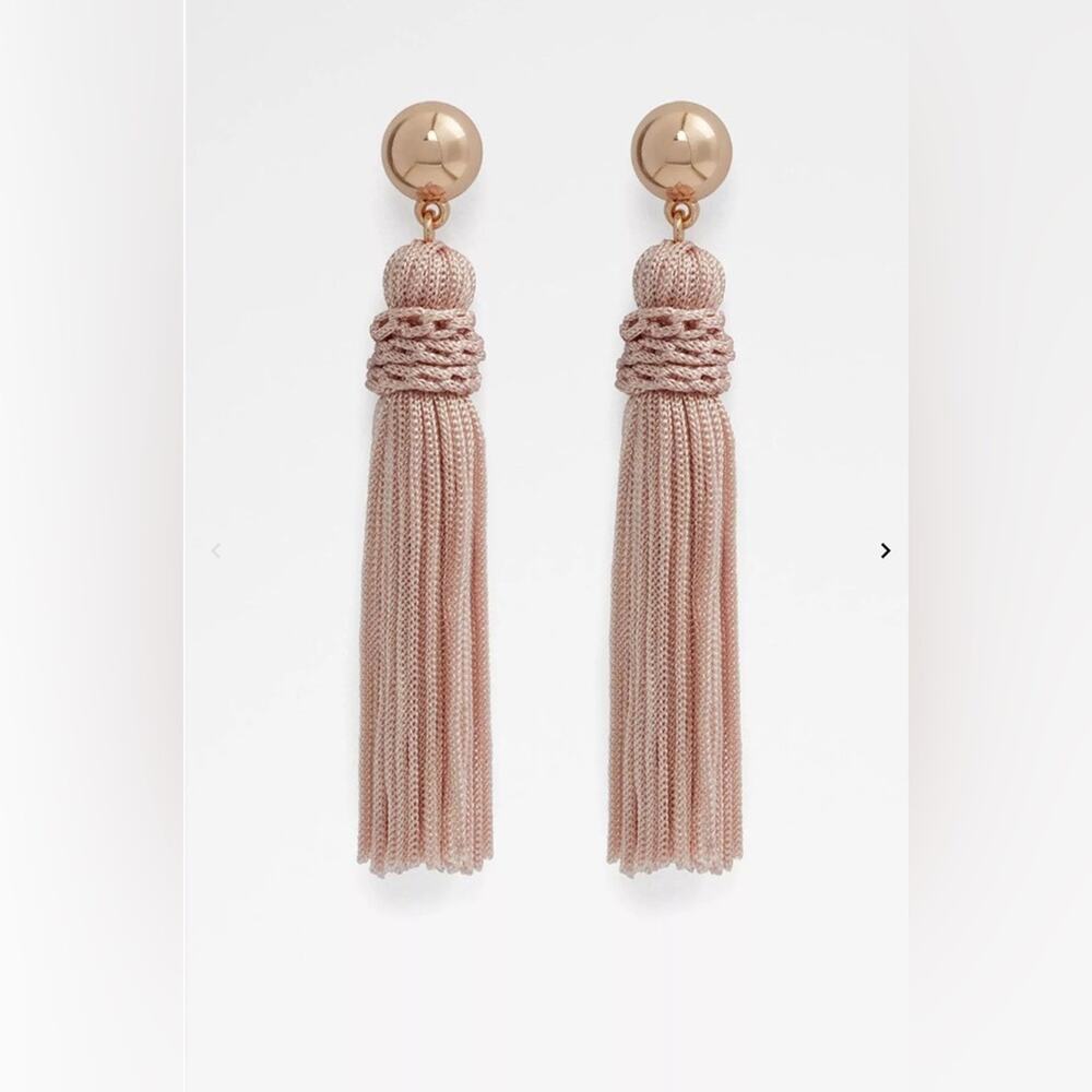 Aldo Baerien Tassel Earrings